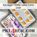 Kamagra 100Mg Jalea Cómo Usar new12